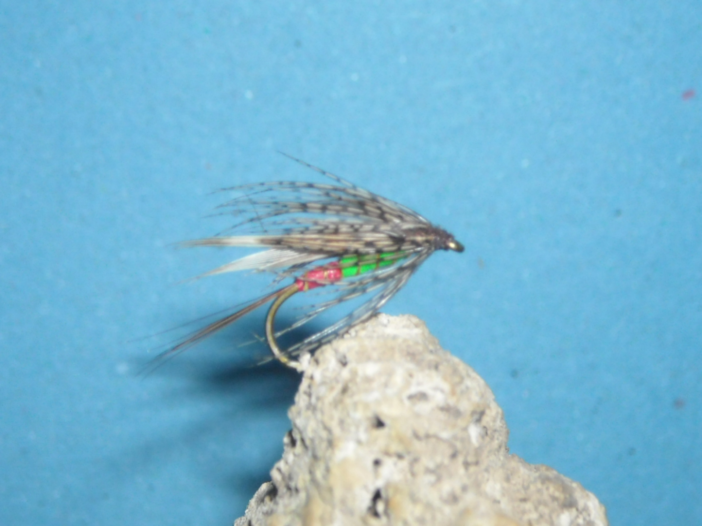 mokra muska redgreen 2