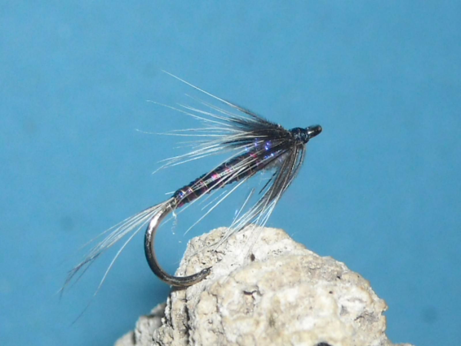 mokra muska 11