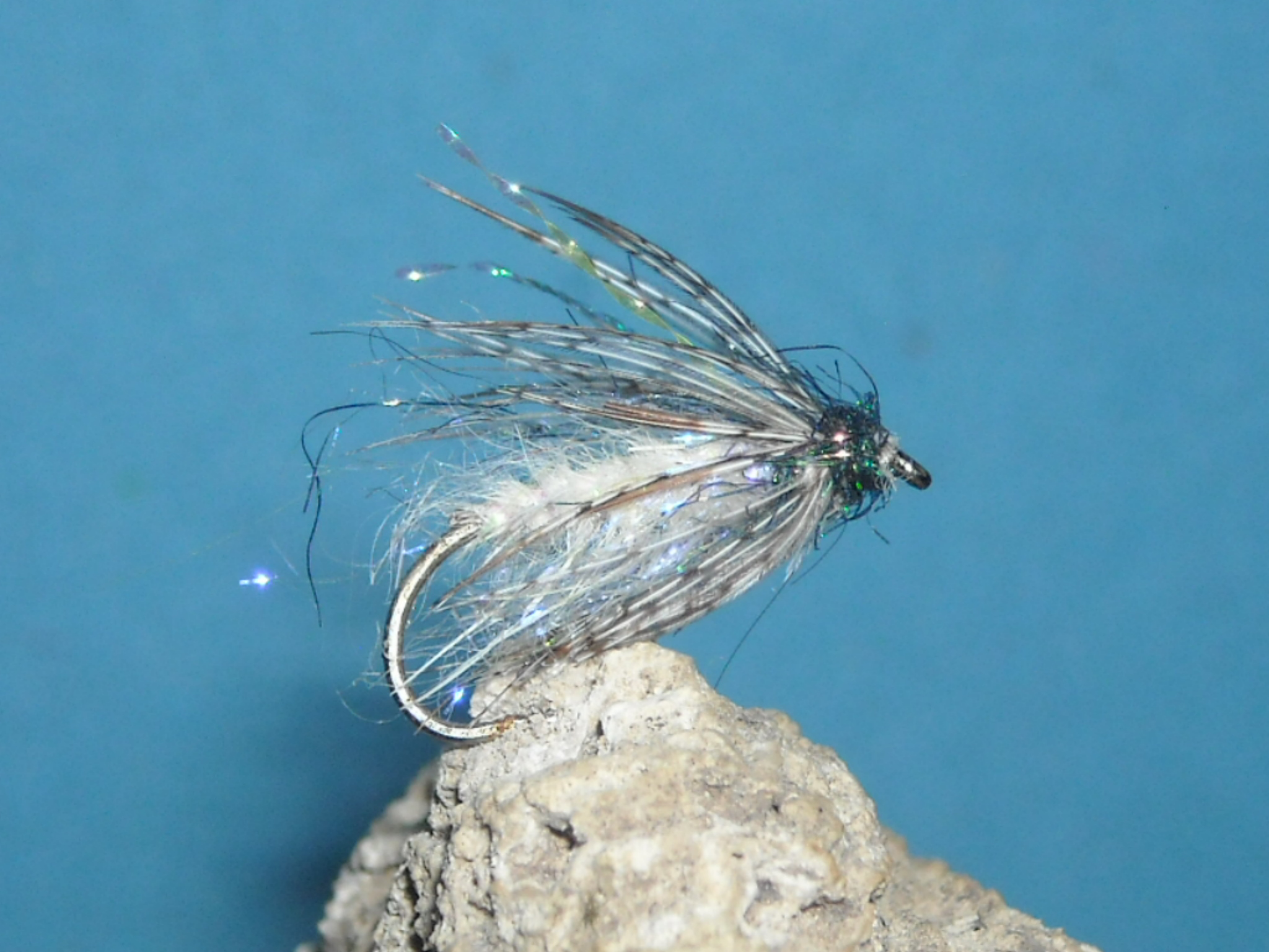 mokra muska 14