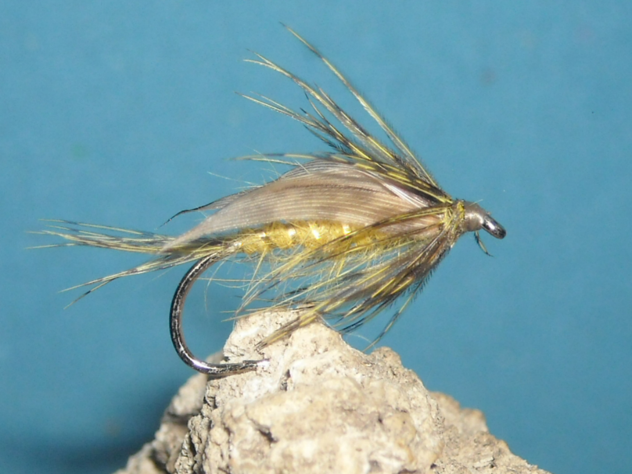 mokra muska 17