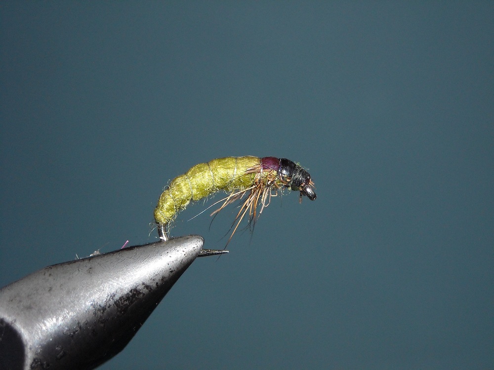 larva potocnika (7)