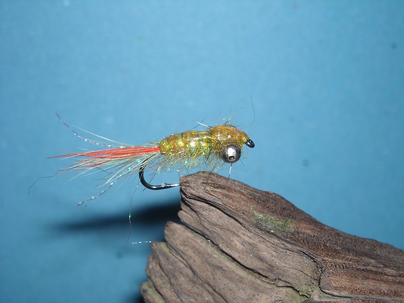 zelena larva vazky 11