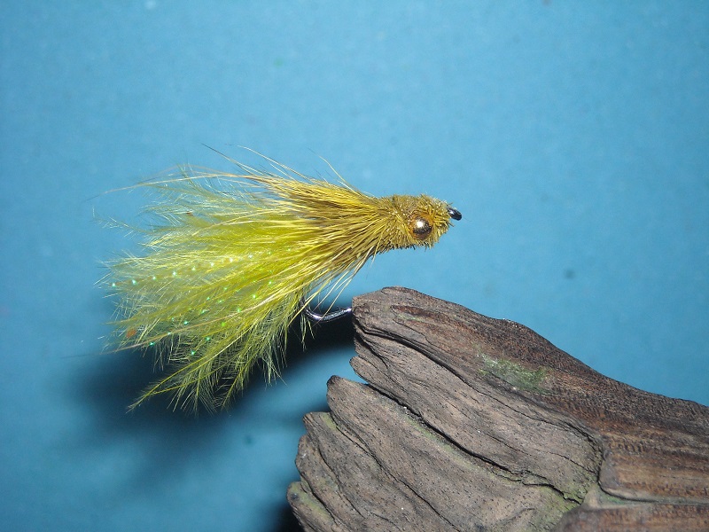 madlerova larva vazky 12