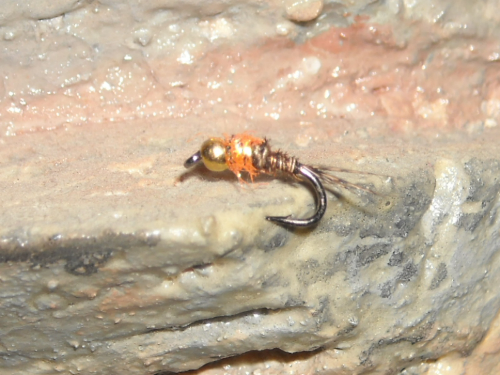 RSCN1545