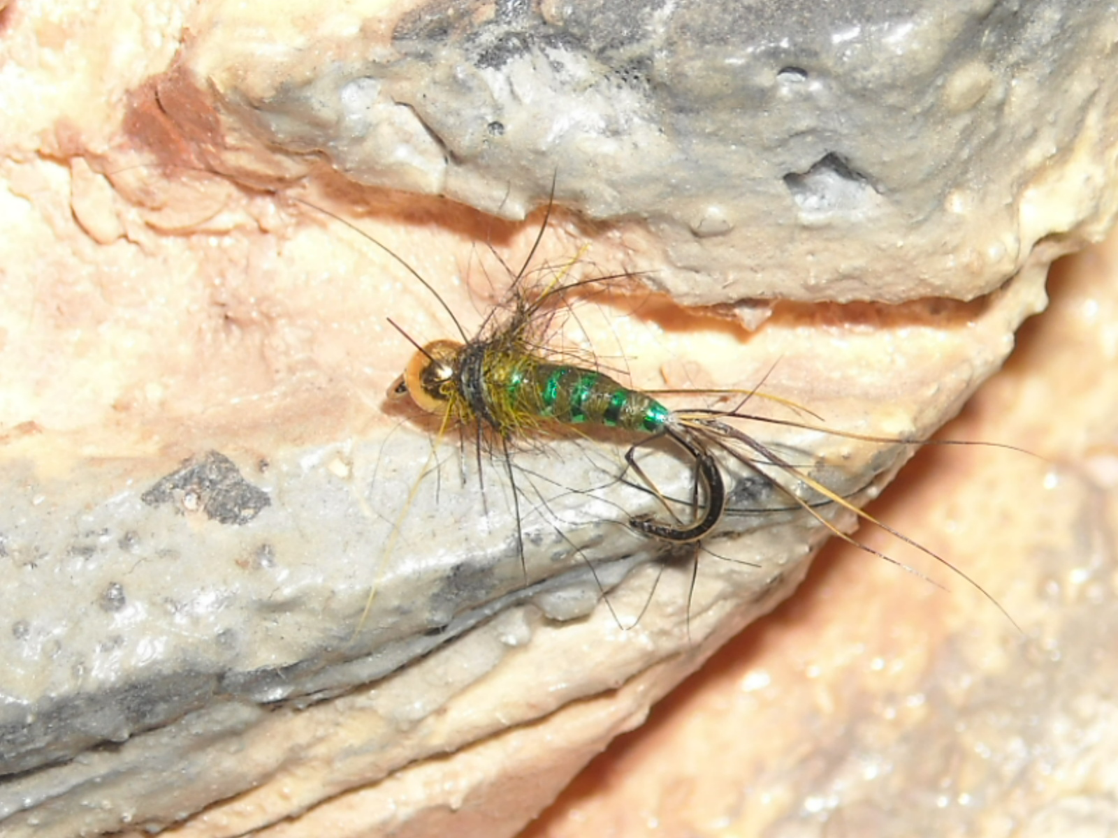 RSCN1553