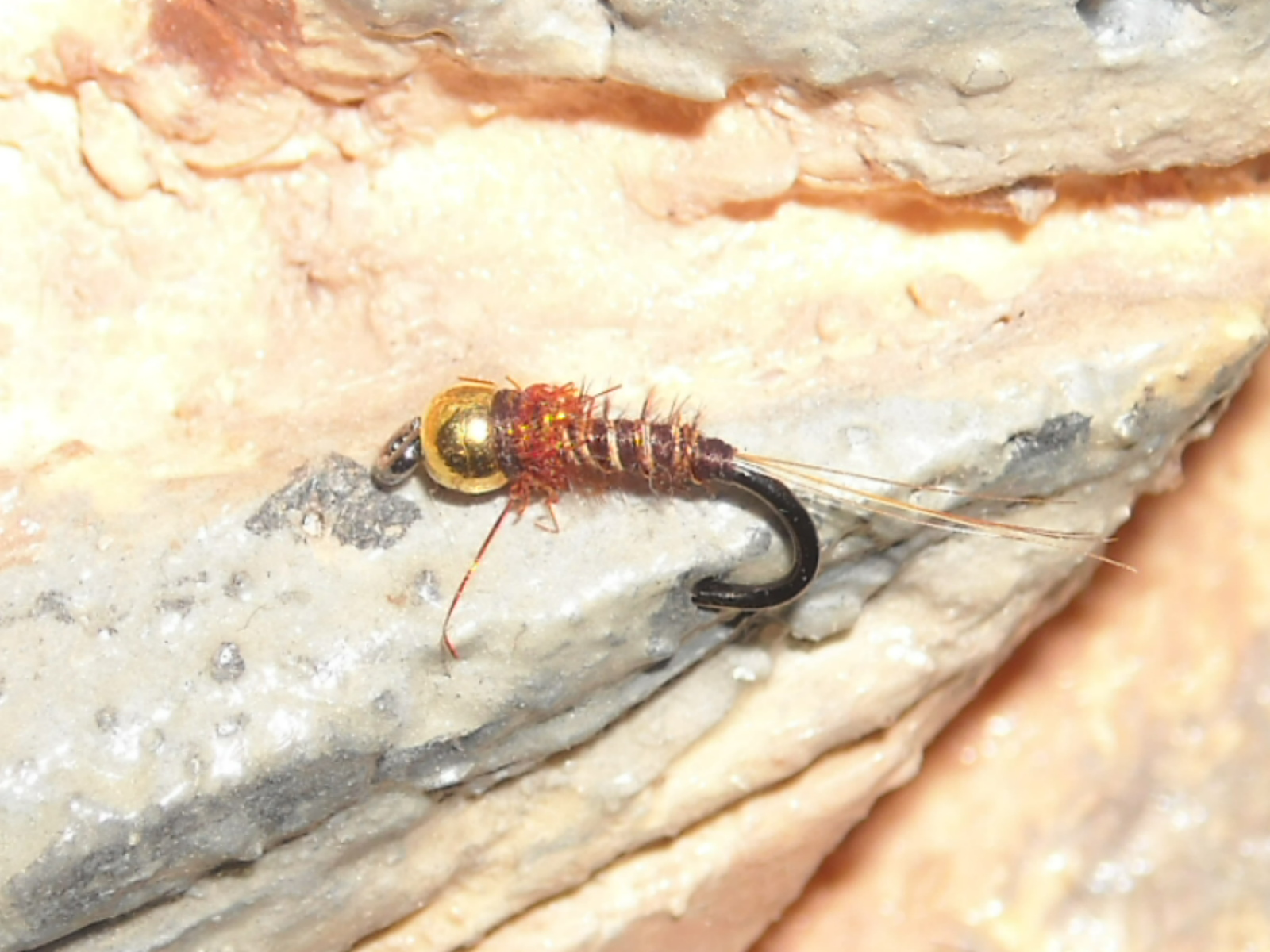 RSCN1559