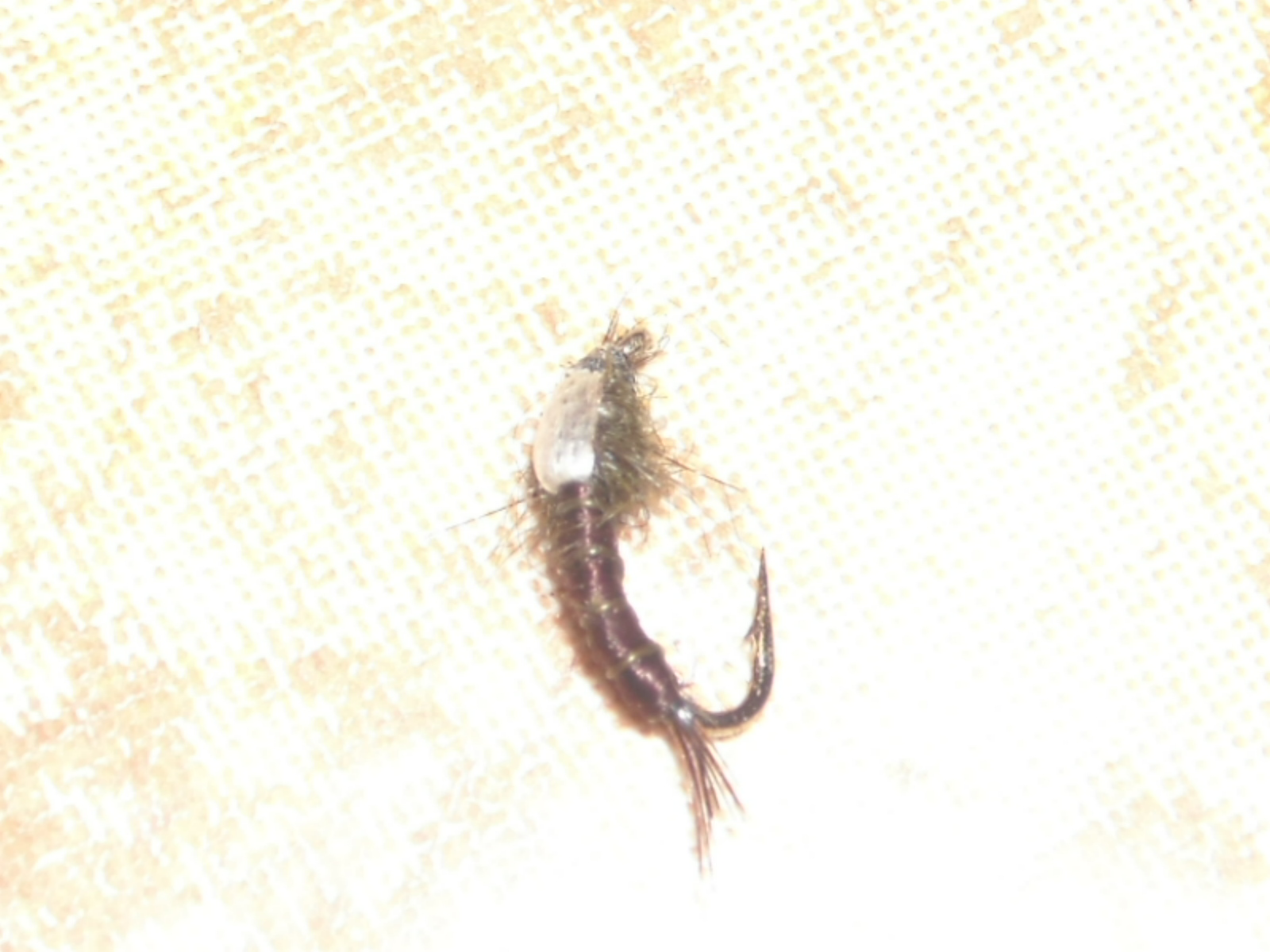 RSCN1572