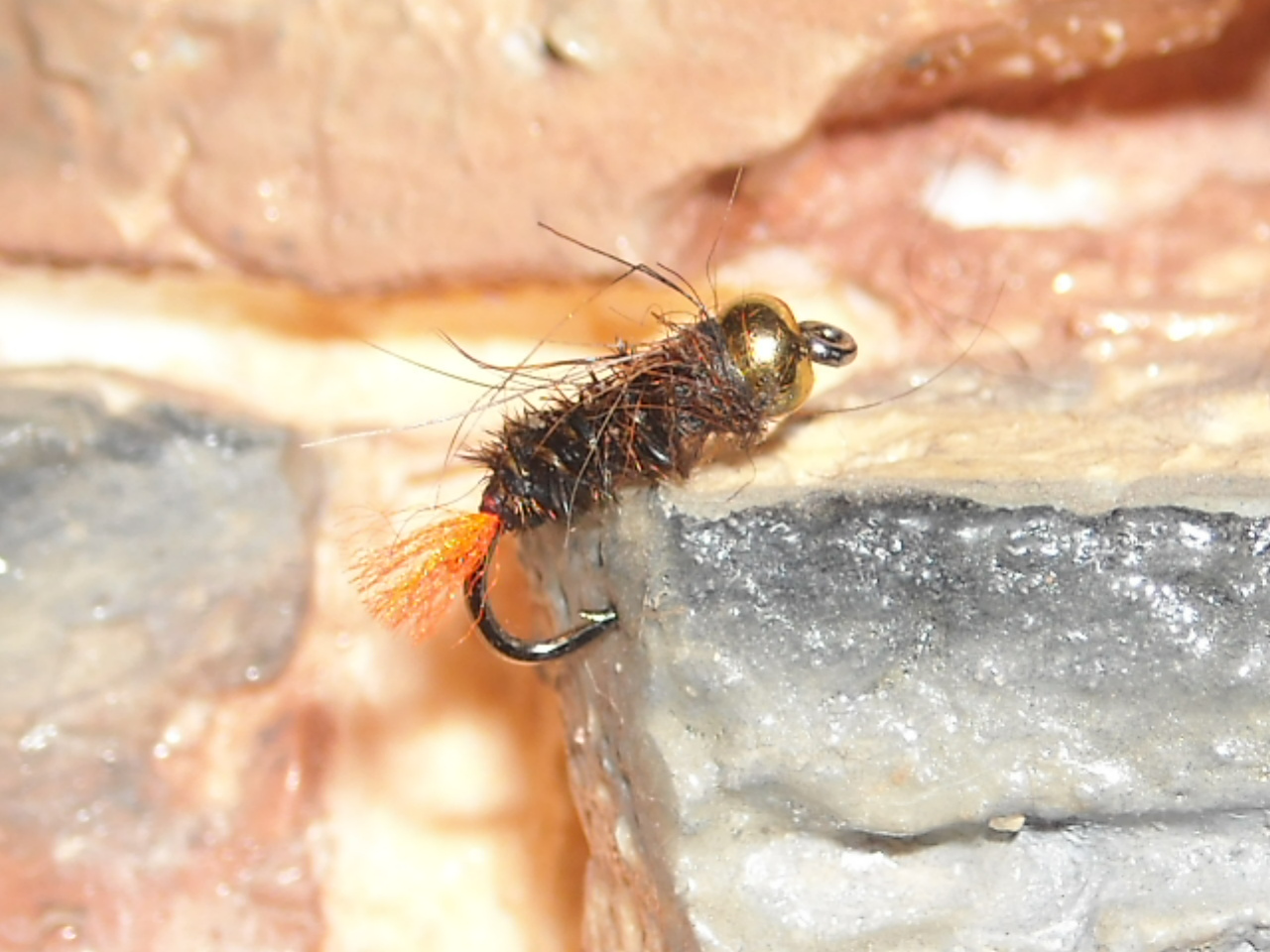 RSCN1577