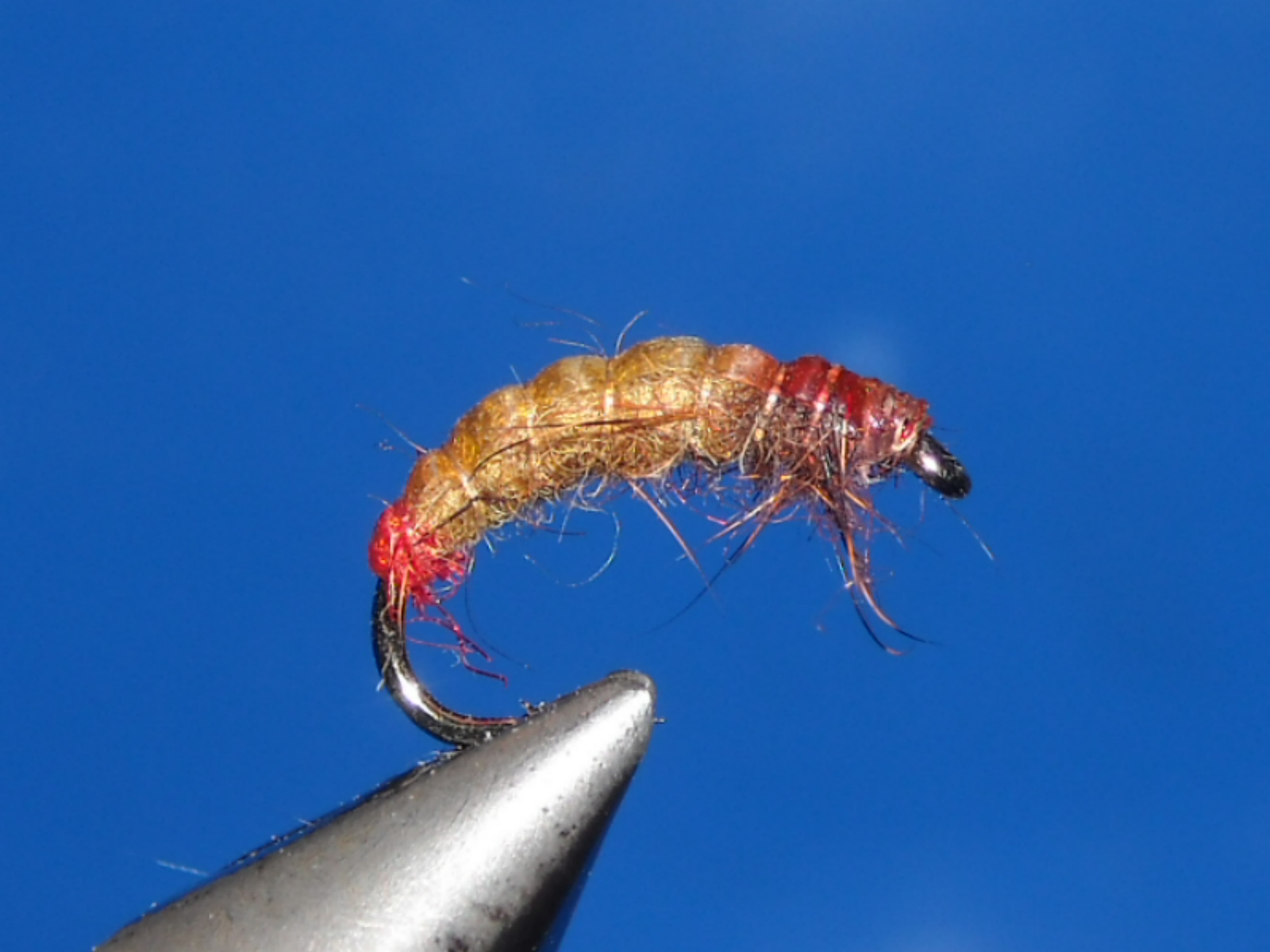 RSCN1620