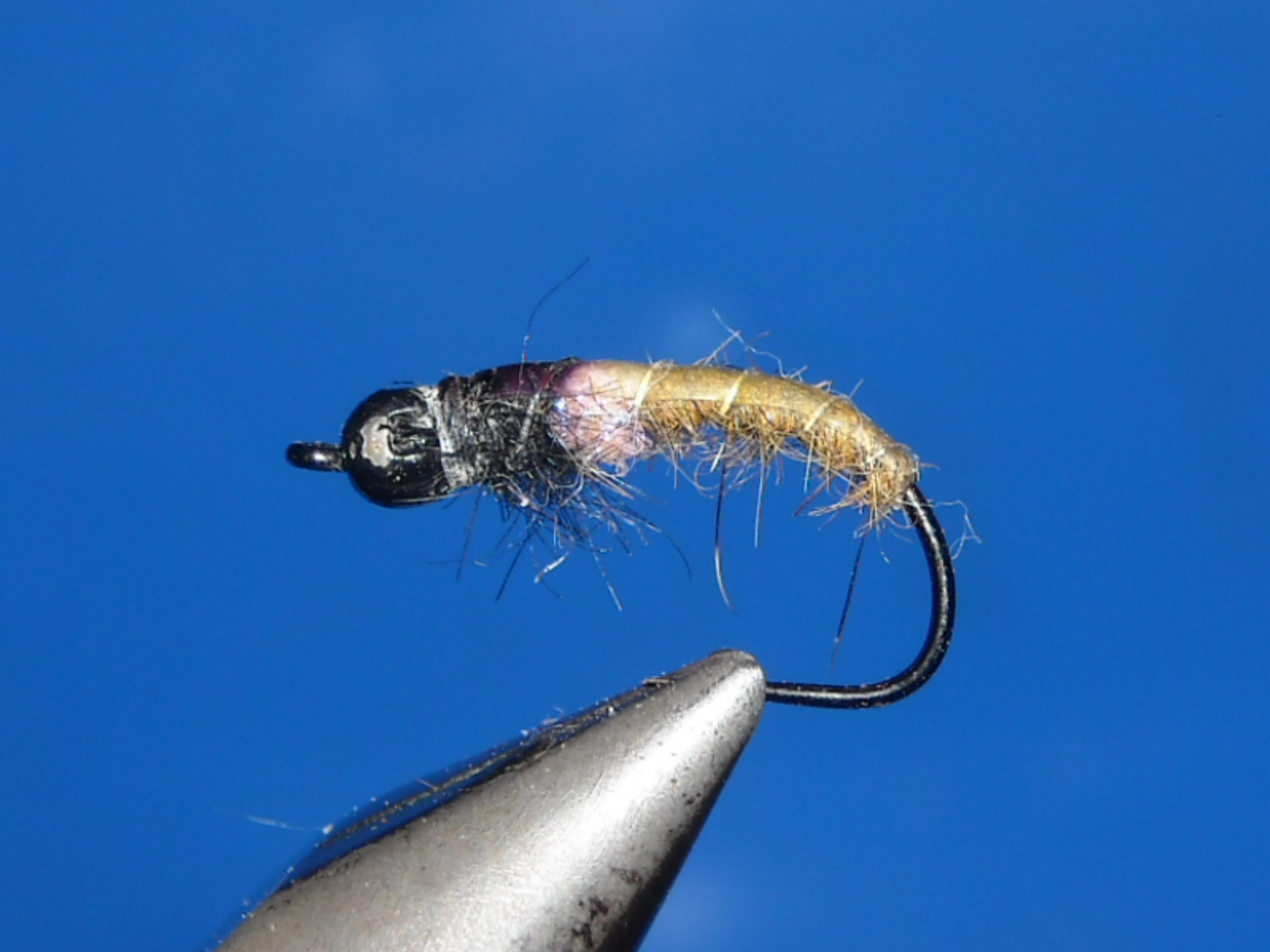 RSCN1622