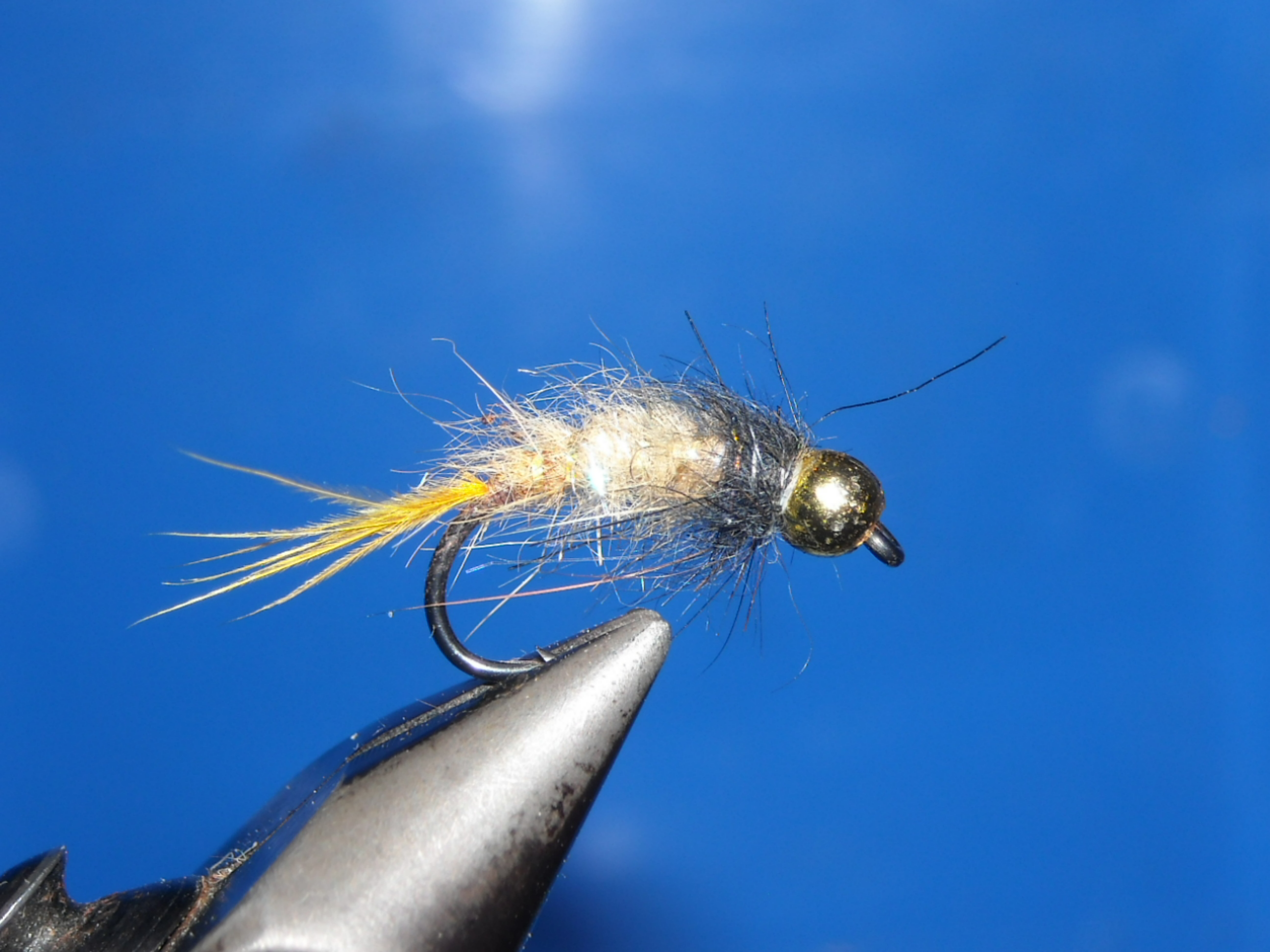 RSCN1624