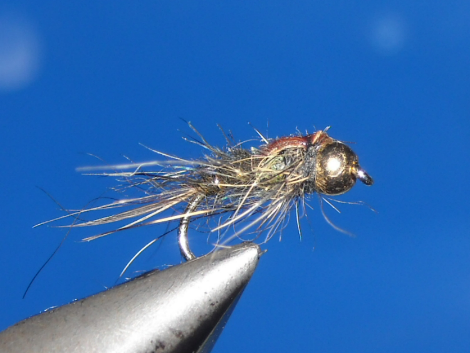 RSCN1589