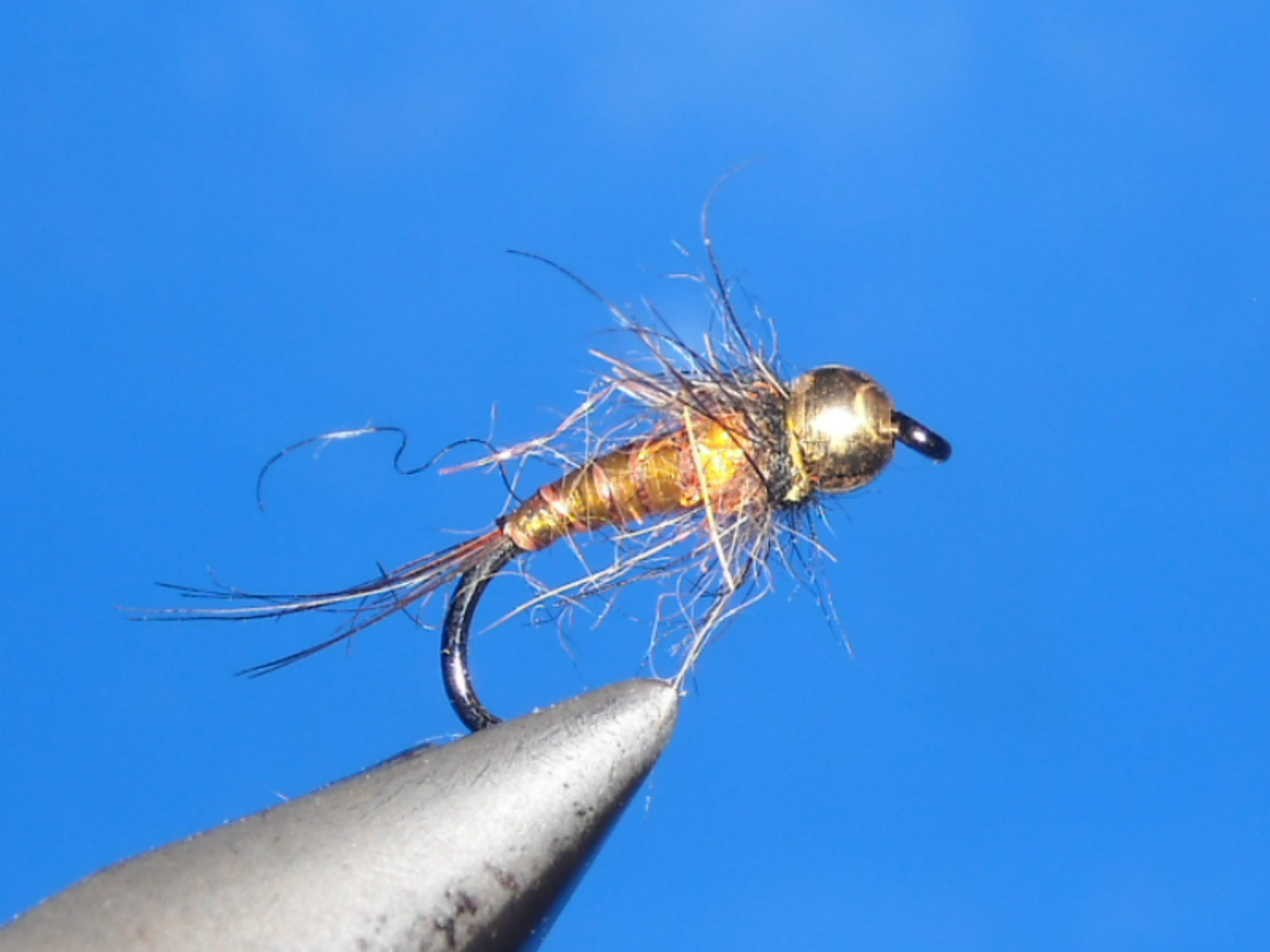 RSCN1591