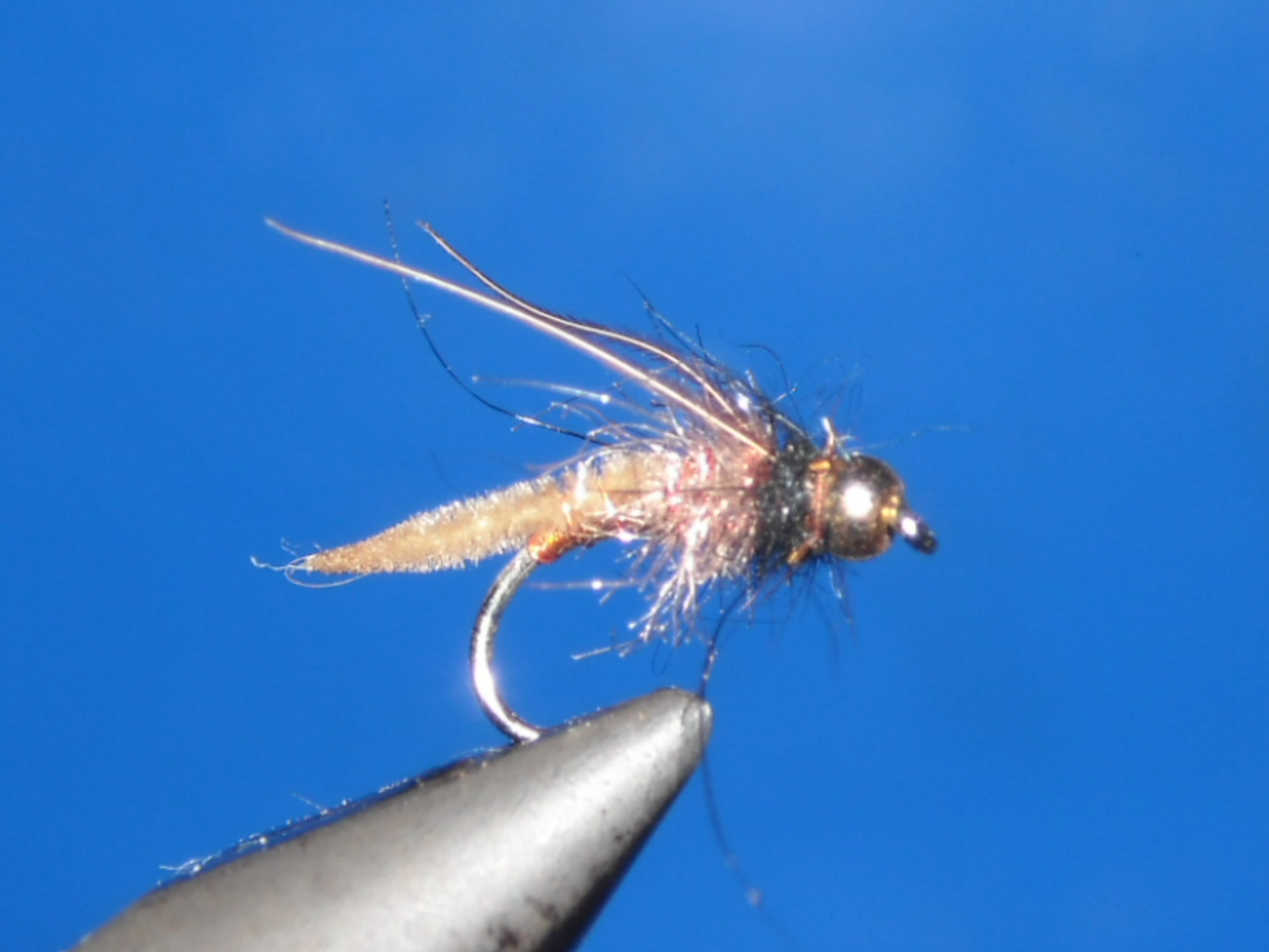 RSCN1594