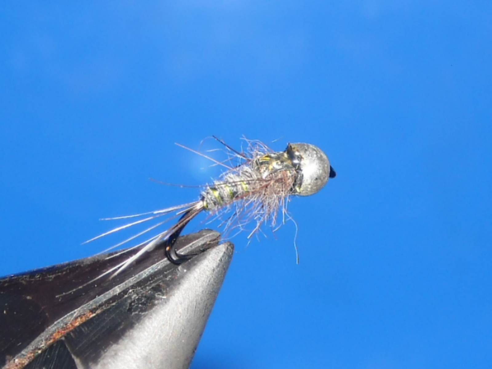 RSCN1598