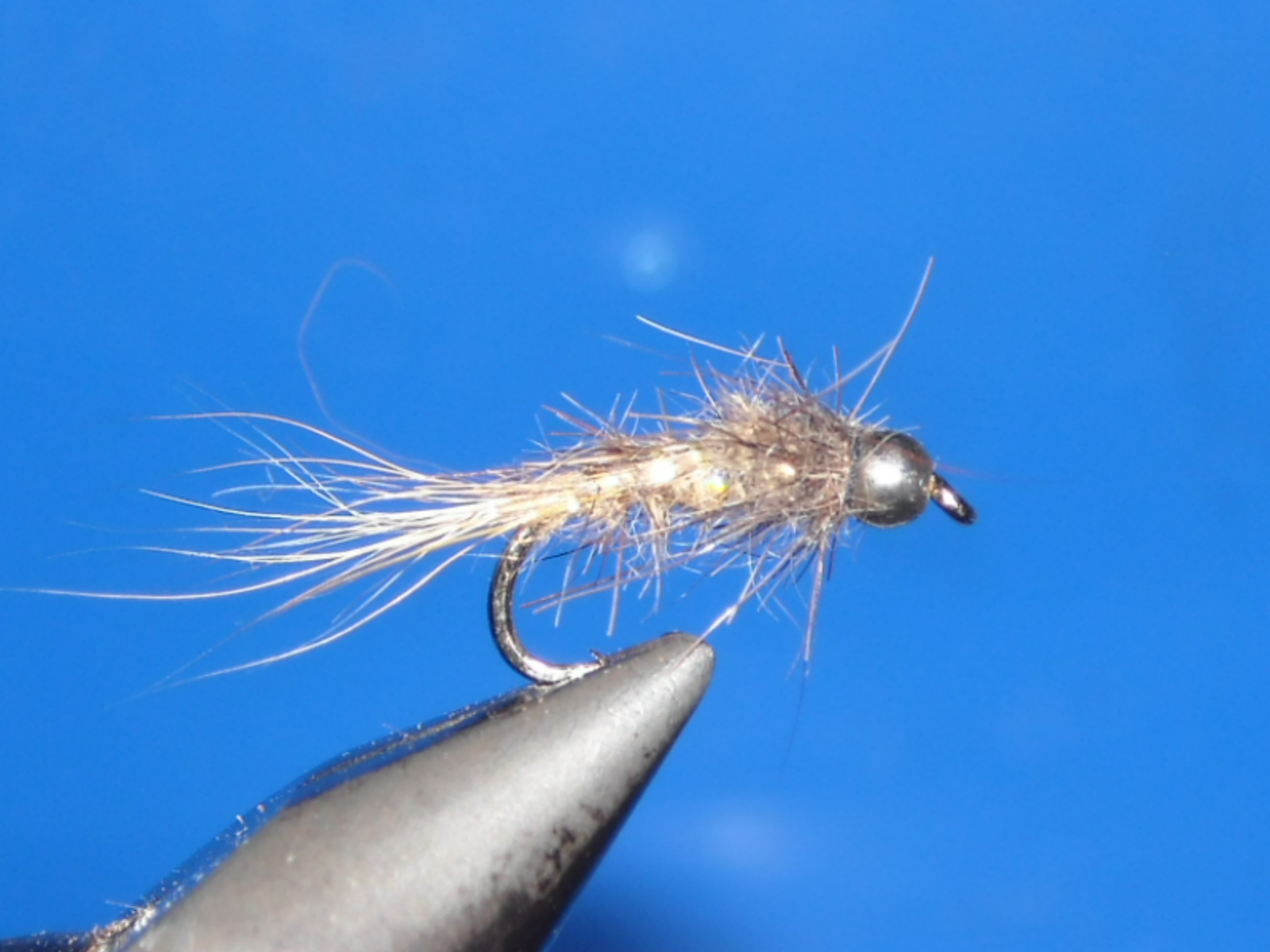 RSCN1603