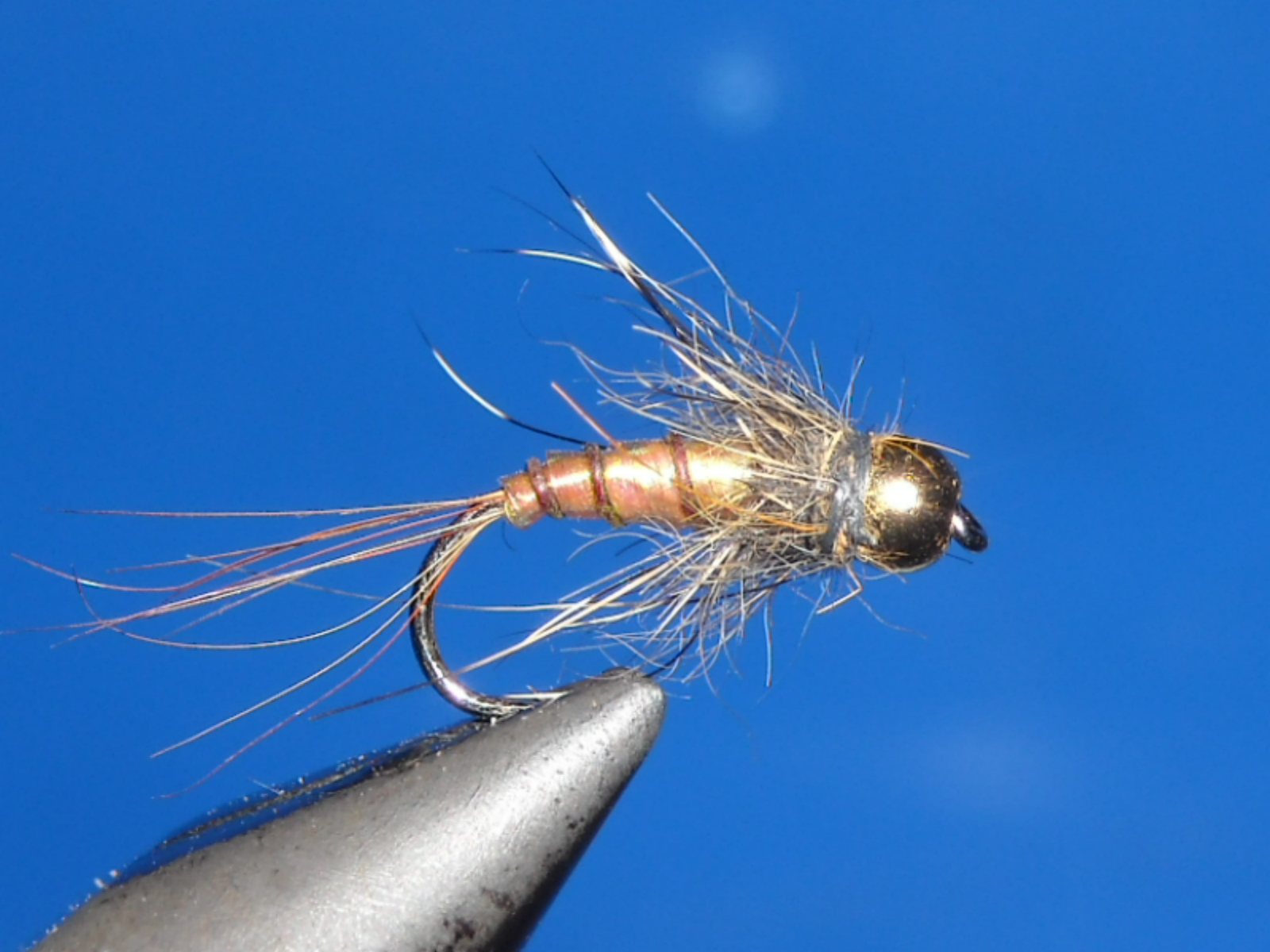 RSCN1605