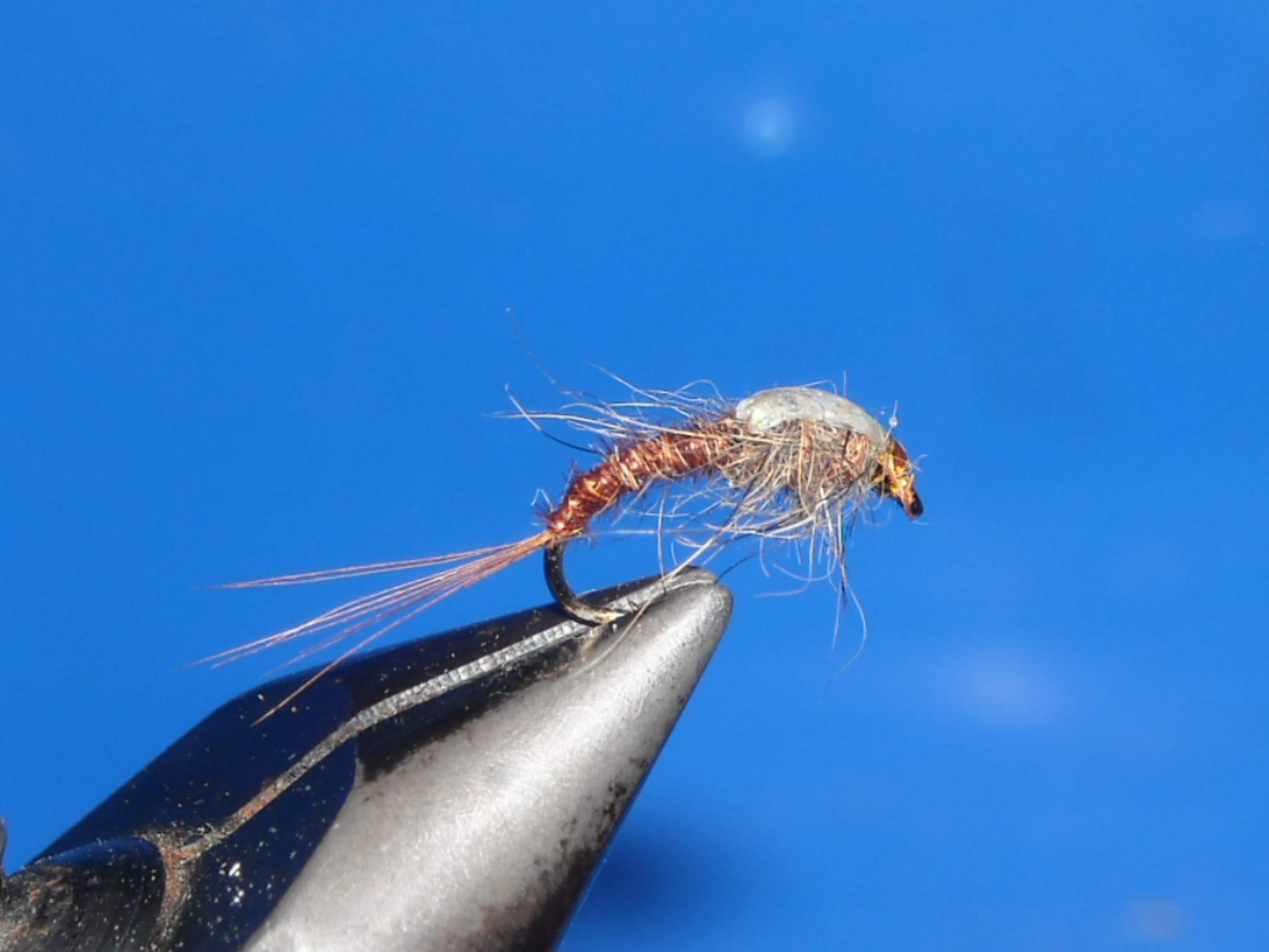 RSCN1609