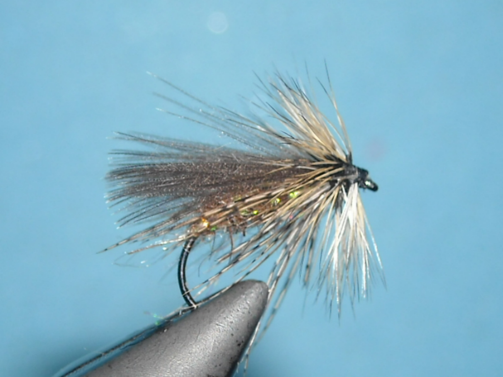 RSCN1653