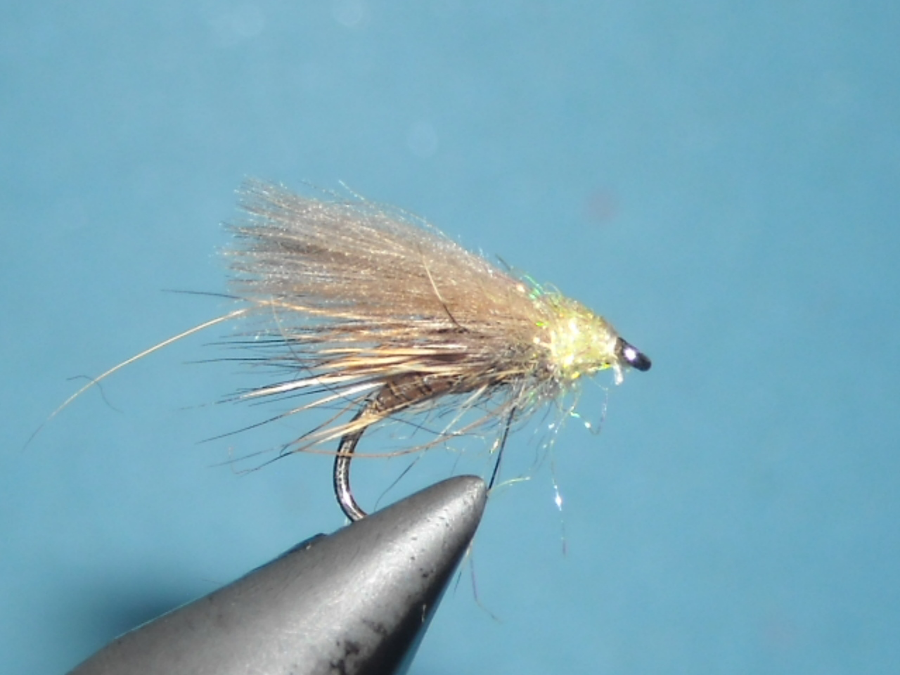 RSCN1655