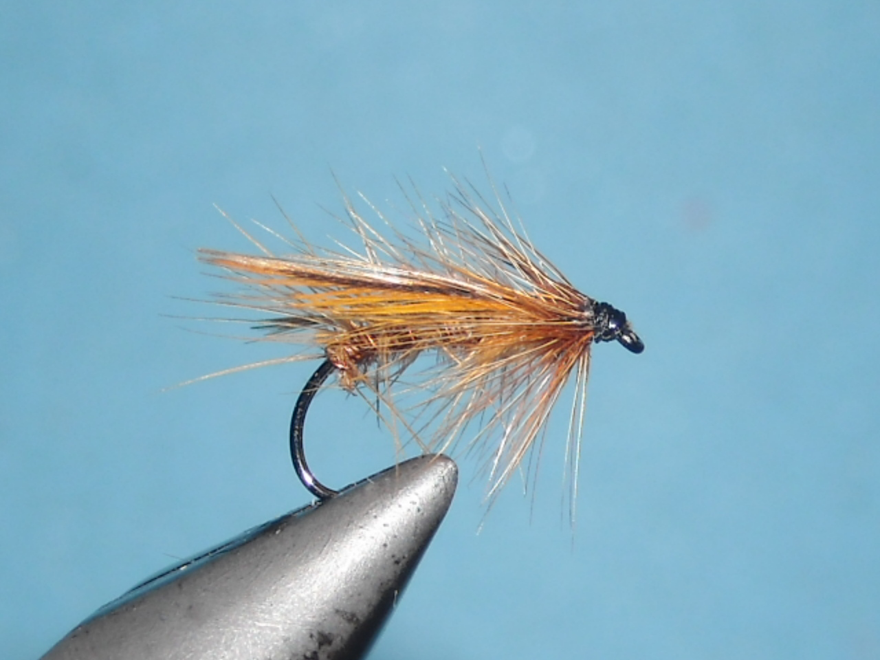 RSCN1658