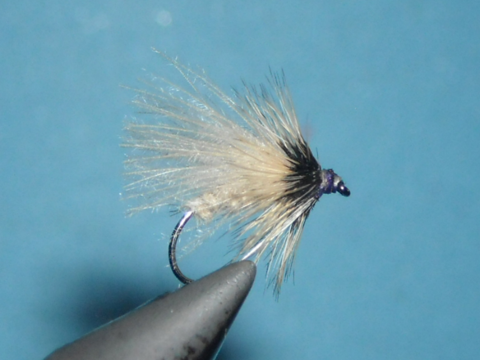 RSCN1660