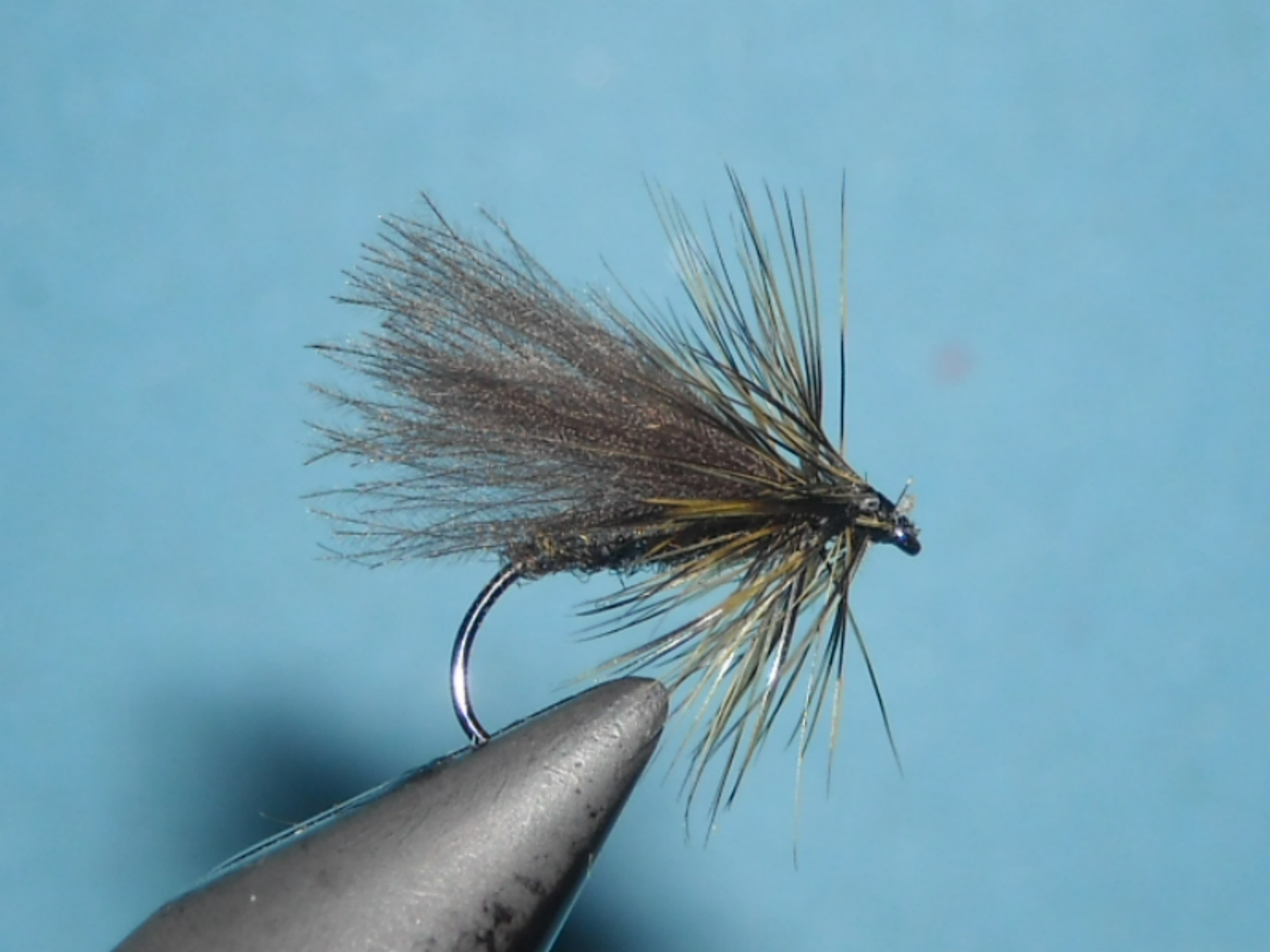 RSCN1663