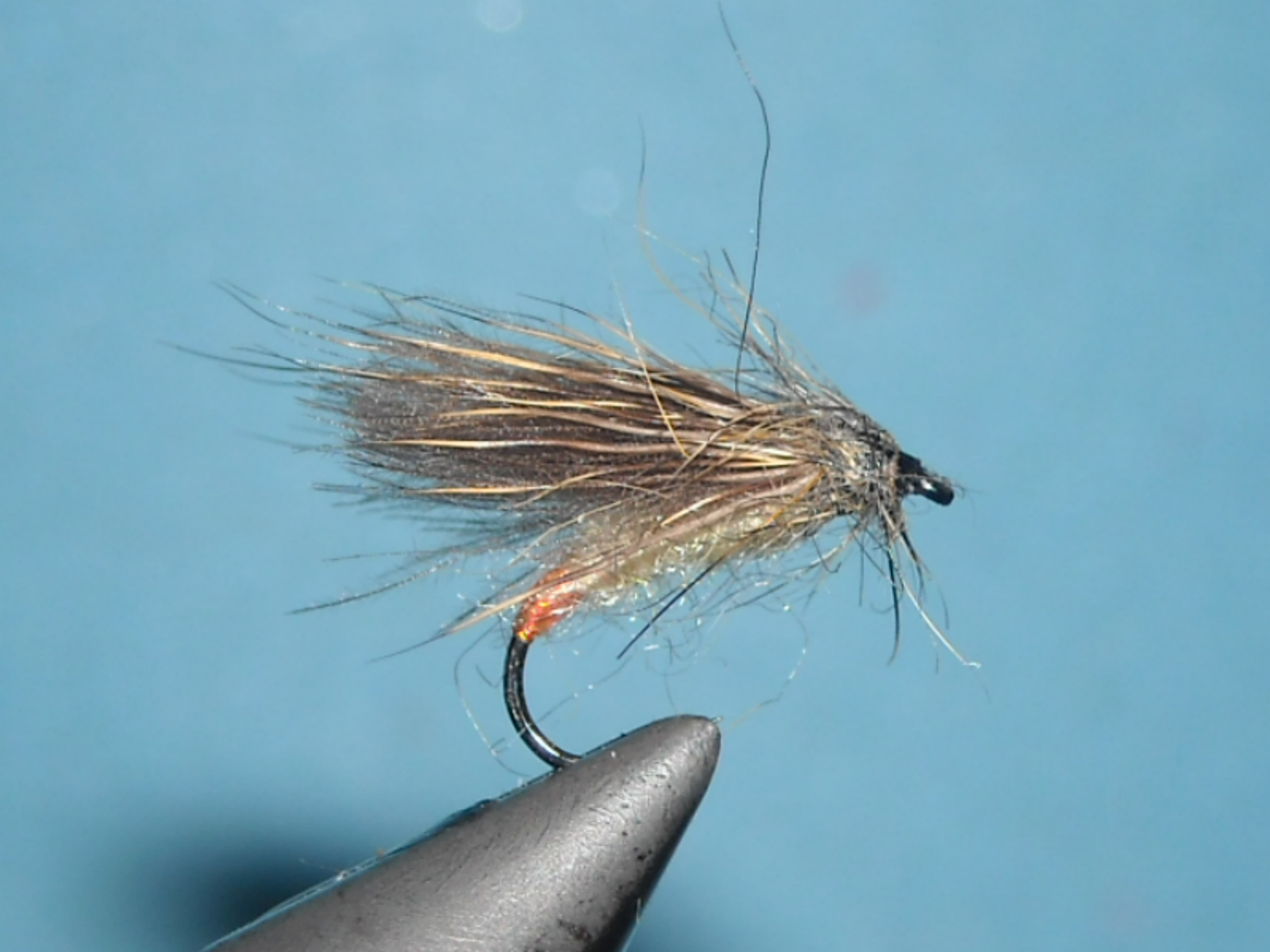 RSCN1668
