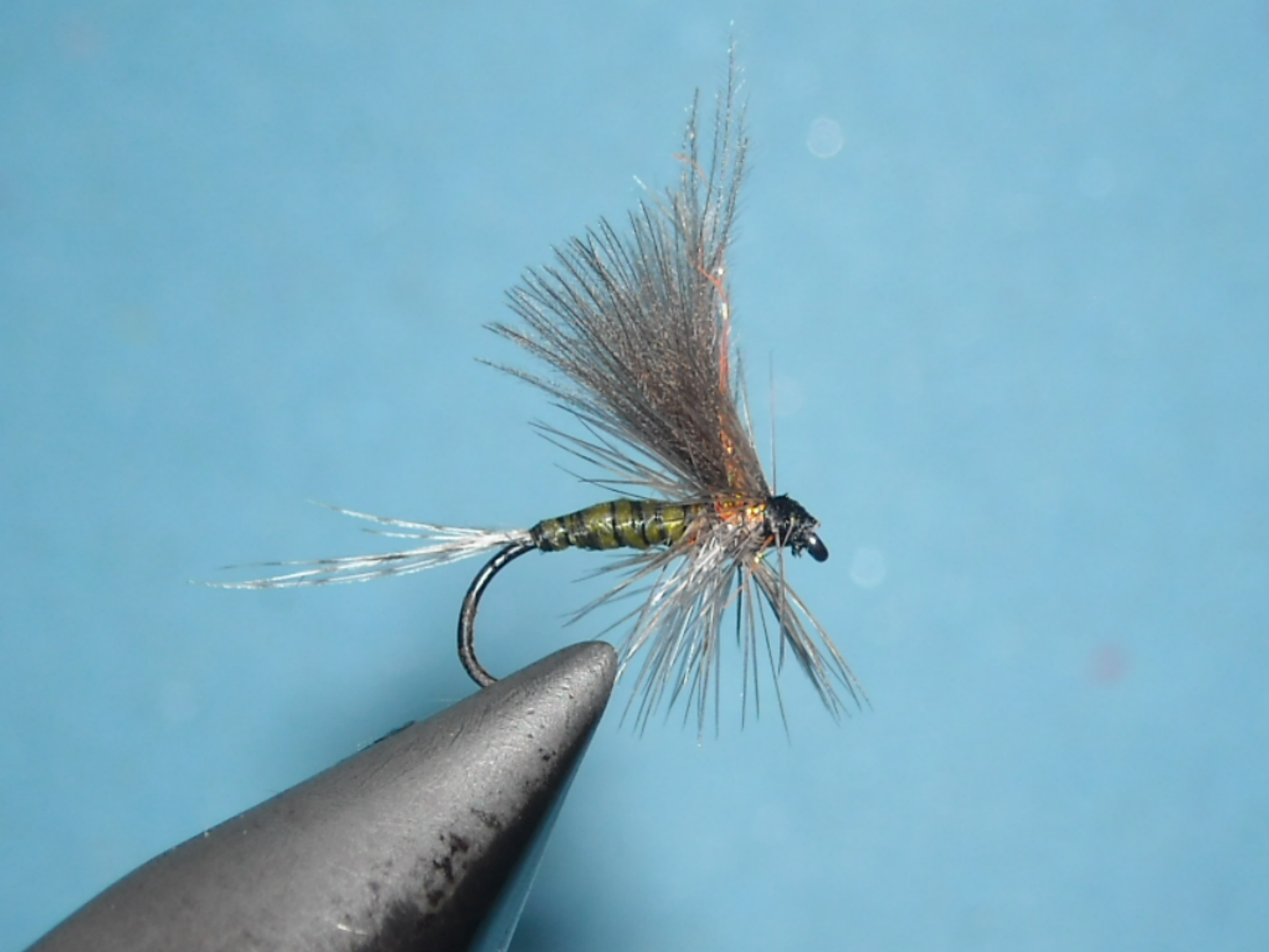 RSCN1635