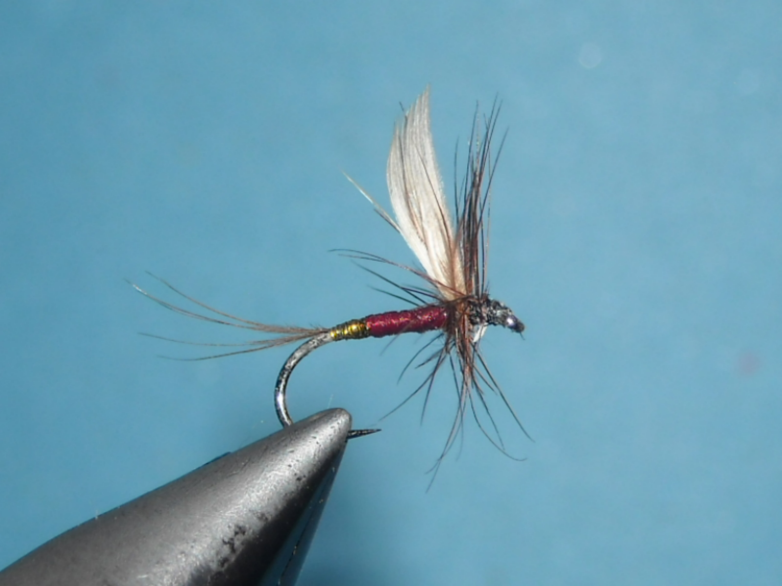 RSCN1637