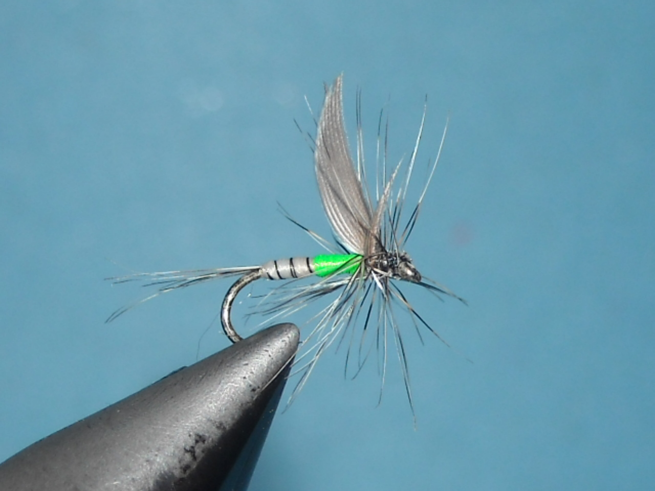 RSCN1639