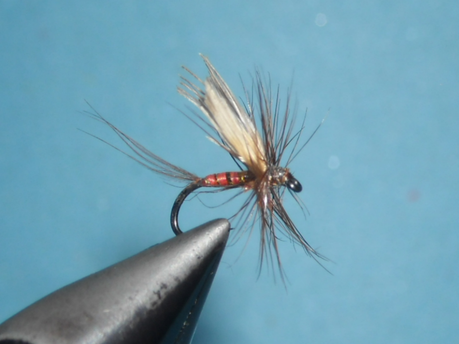 RSCN1641