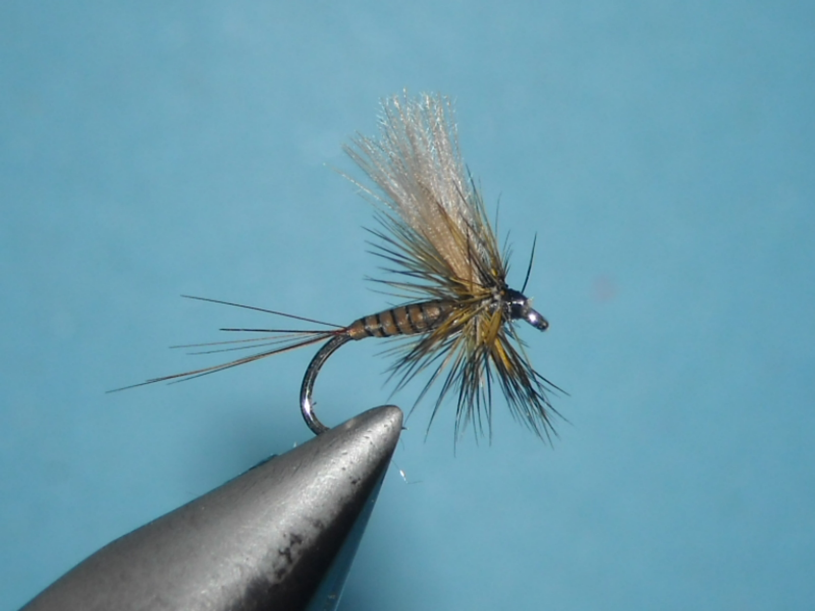 RSCN1643