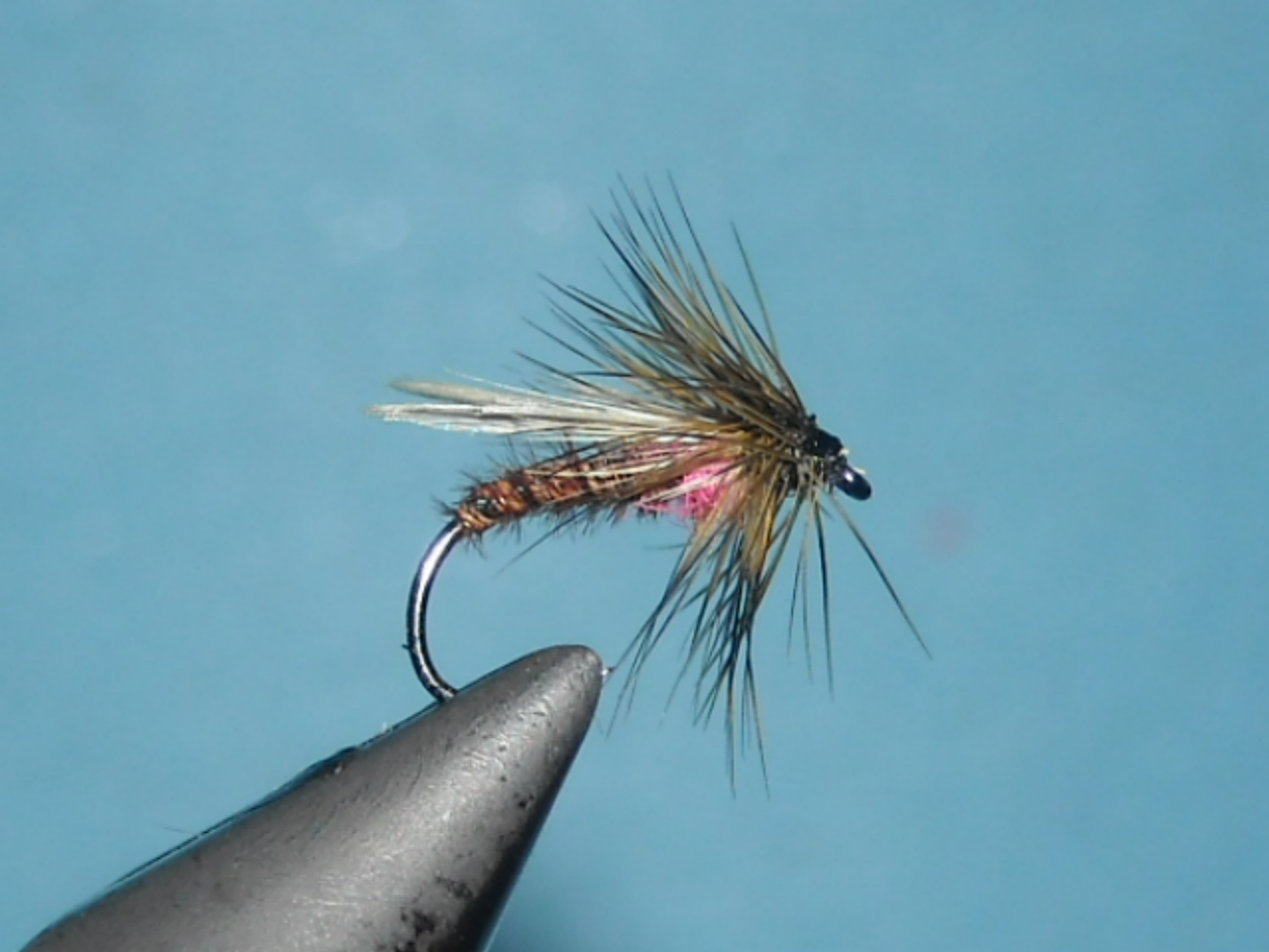 RSCN1645