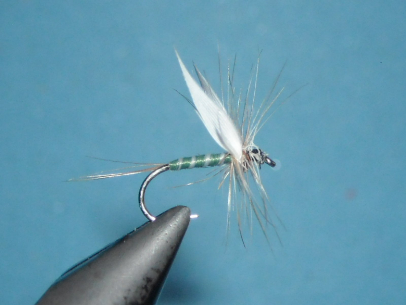 RSCN1649