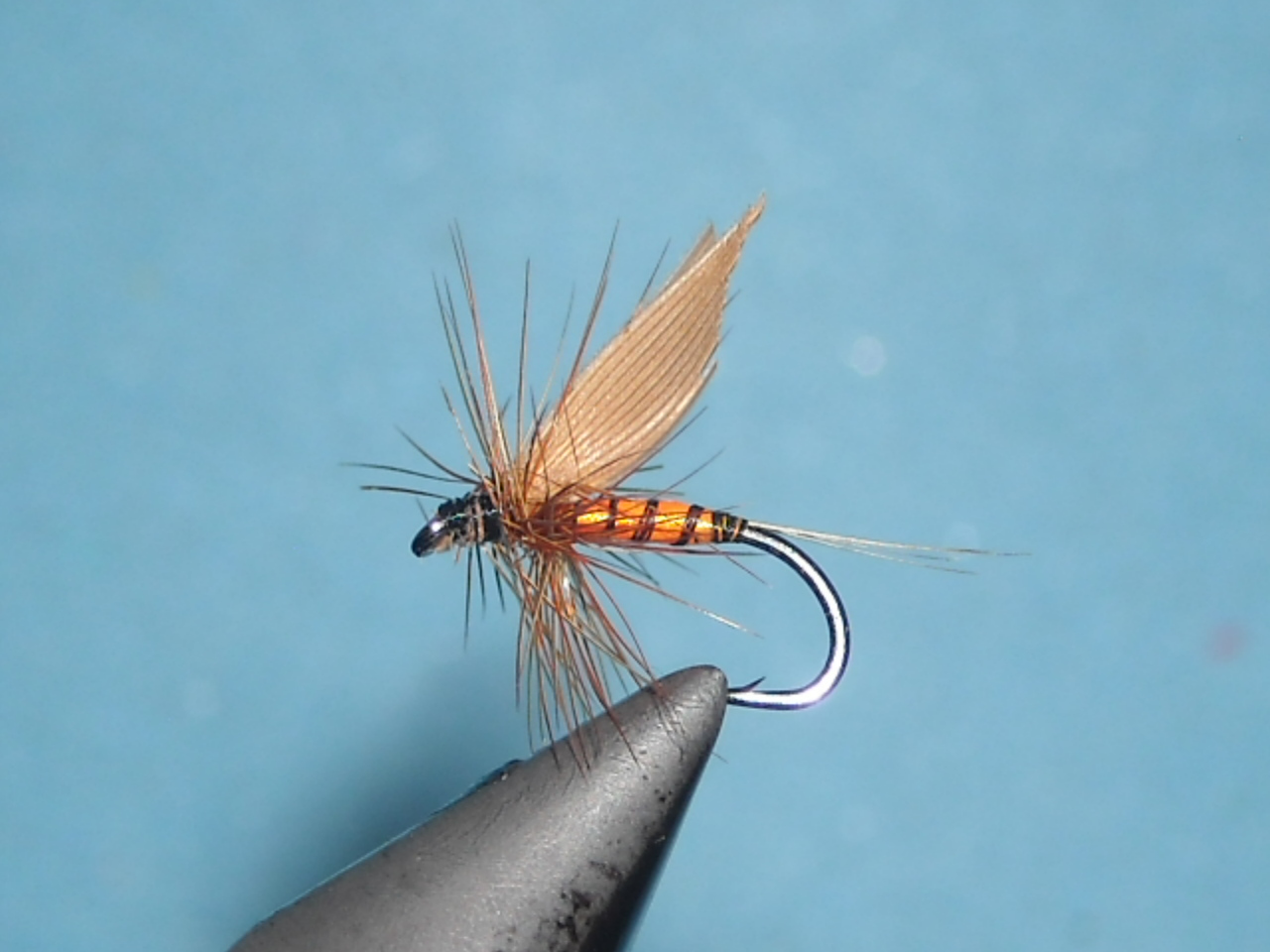 RSCN1651
