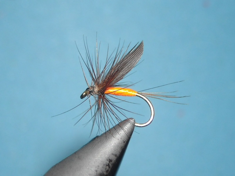 RSCN1647