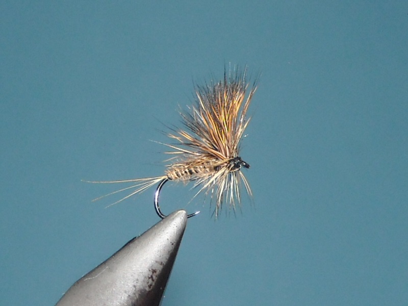 RSCN1680