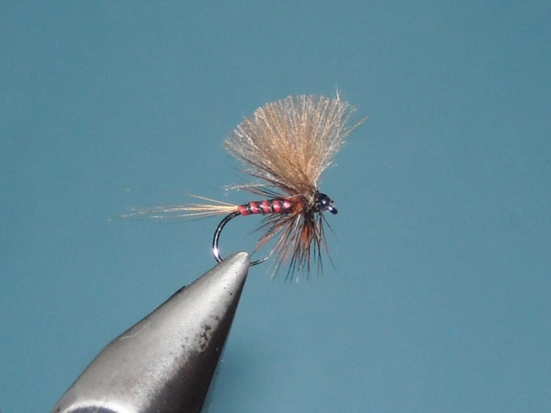 RSCN1682