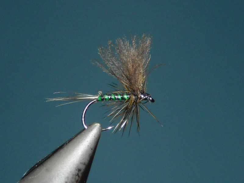 RSCN1686