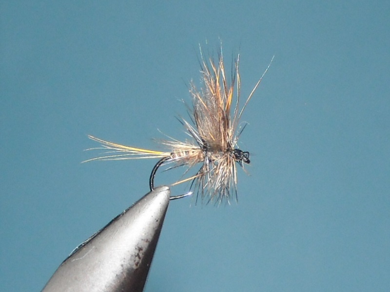 RSCN1692