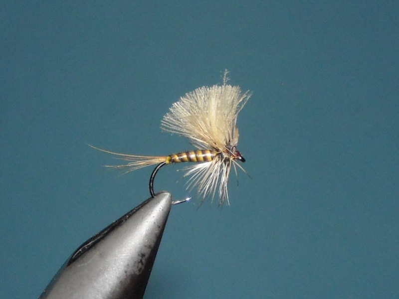 RSCN1694