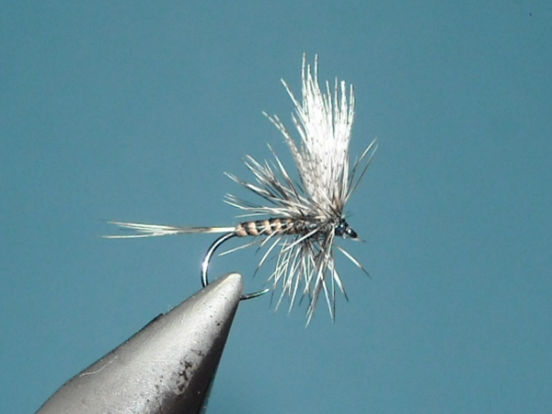 RSCN1698