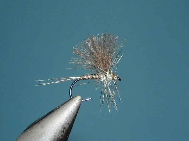 RSCN1700