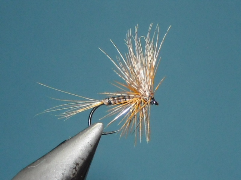 RSCN1702