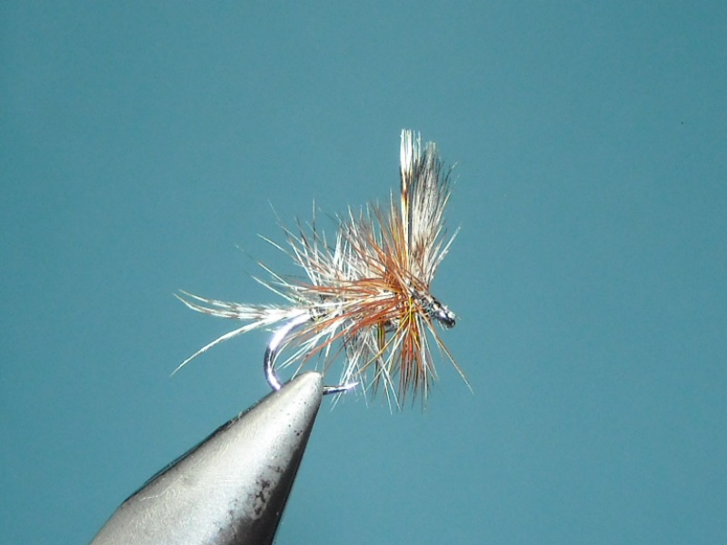 RSCN1706