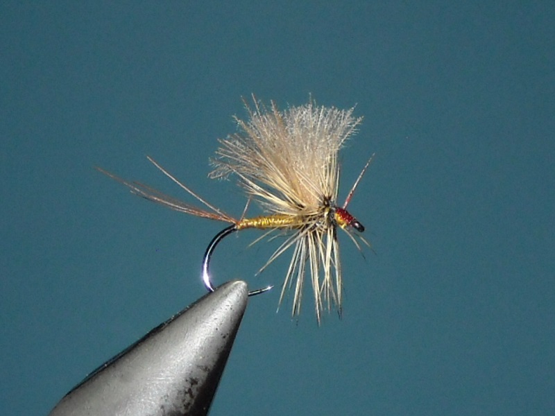 RSCN1708