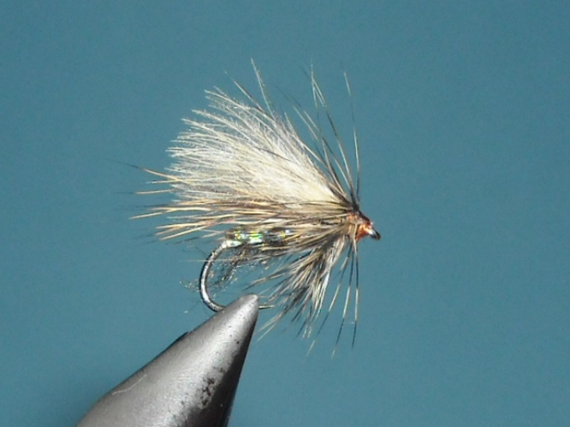 RSCN1678