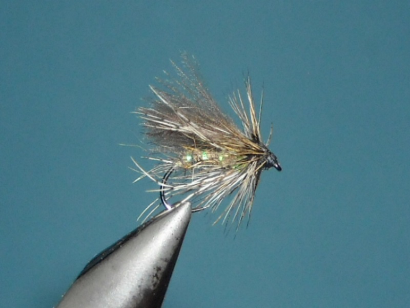 RSCN1710