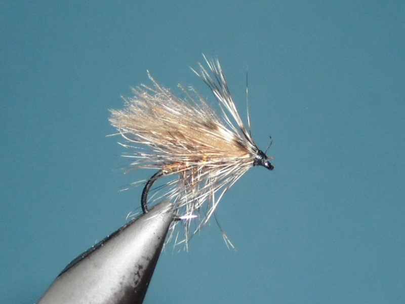 RSCN1716